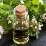 Može li se piti origano (origano) za trudnice: u ranim fazama, u 3....